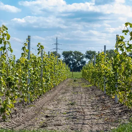 Farm stay Hoeve De Blauwe Zaal Bruges